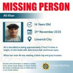 Gardaí Seeking Public Assistance in Finding Missing Limerick Teenager