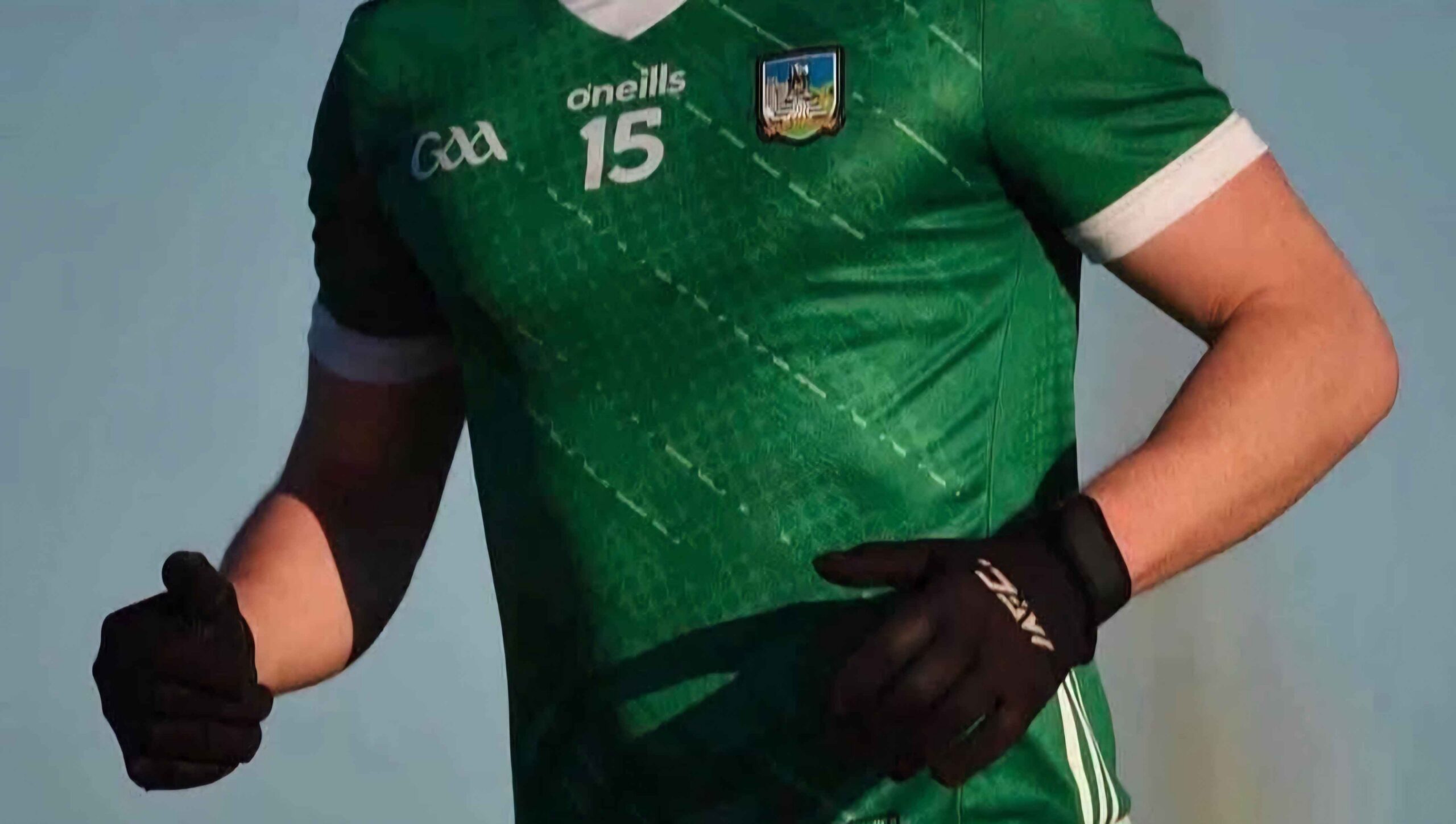 Todays_Allianz_Football_League_action-Sunday_22nd_MarchAllianz_Football_League_Division_1Armagh_ Limerick GAA Gaelic football player