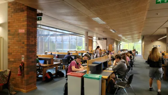 Students studying for exams at UL Glucksman library