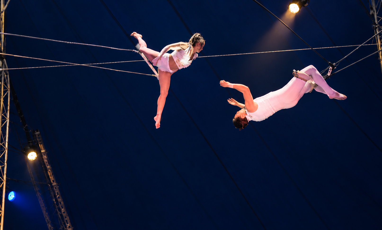 Trapeze duo soar as Circus Gerbola stuns in Limerick. Photo: Limerick Voice