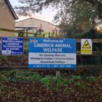 Limerick Animal Welfare appeals for donations amid rising costs