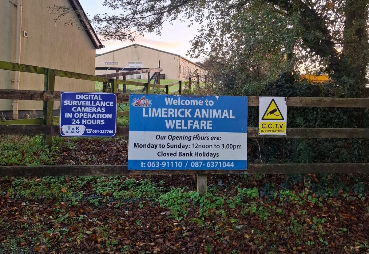 Limerick Animal Welfare cares for hundreds of animals annually at their sanctuary. Photo: LAW