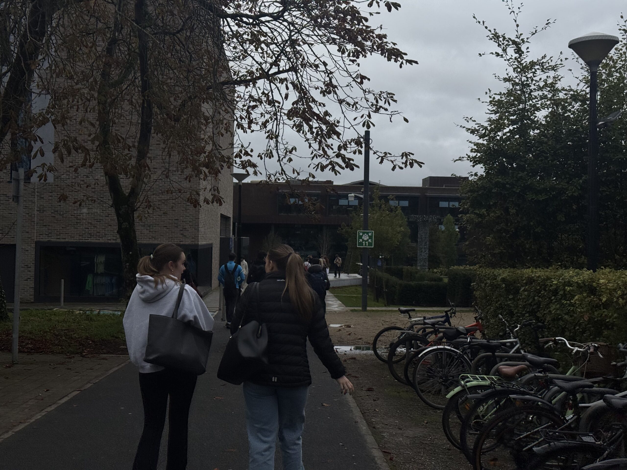 Walking students outside UL