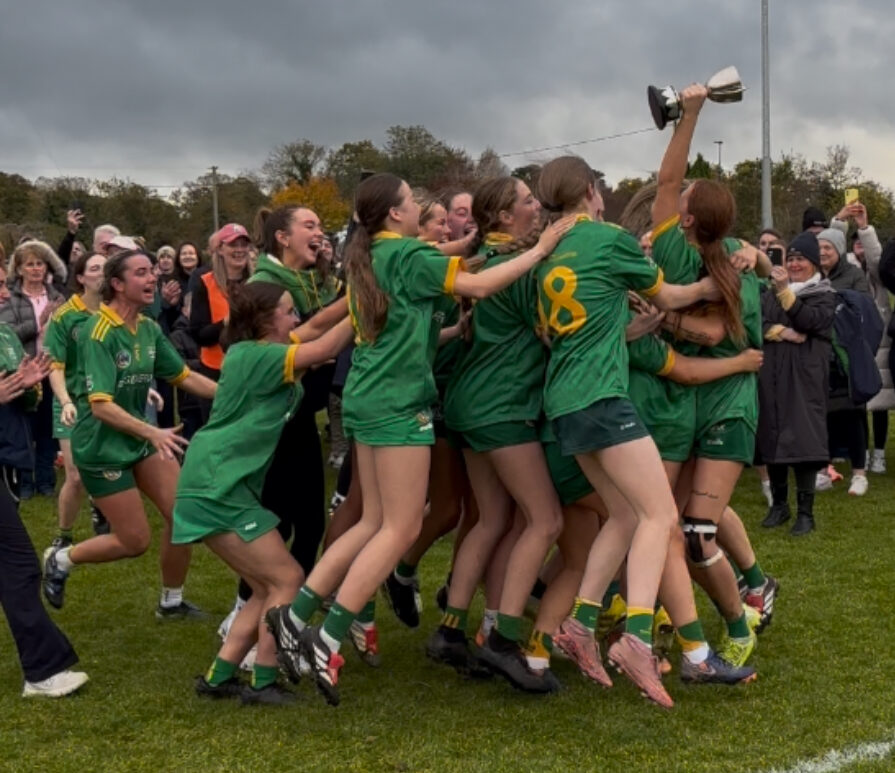 Connie Sheehan lifts the cup for Templeglantine. Photo: Limerick Voice Connie Sheehan lifts the cup for Templeglantine. Photo: Limerick Voice