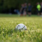 Limerick camogie semi-final to be replayed a month later following appeal