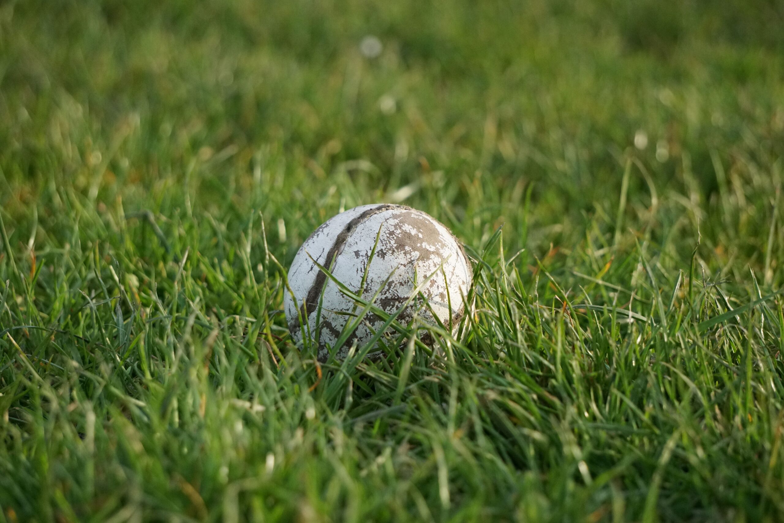 Hurling management team confirmed backroom staff